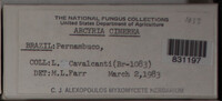 Image Associated With the Occurence